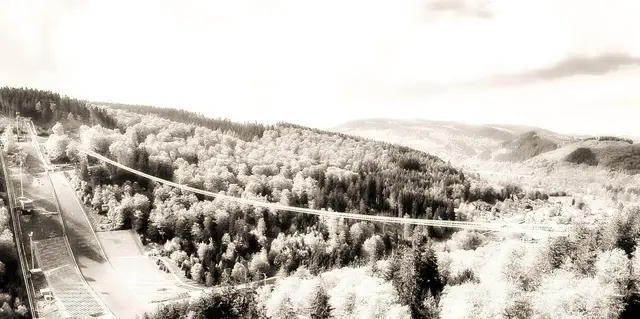 Amadeus - 1 Punkt - Skywalk Willingen
