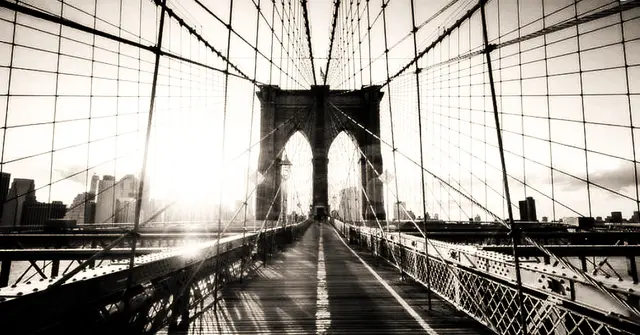 Susanne - 1 Punkt -  Brooklyn Bridge