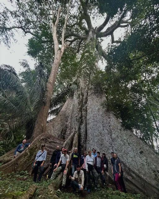 Gruppenfoto vor einem riesigen Kapokbaum.
