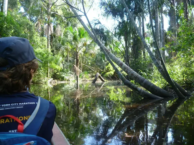 Im Dschungel am „Río Madre de Dios“-
