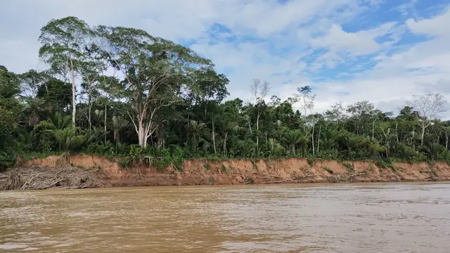 Bootsfahrt in einem Amazonas-Zufluß. Ufervegetation auf Festgestein und Regenwald am „Río Madre de Dios“ in der Nähe von Puerto Maldonado. 