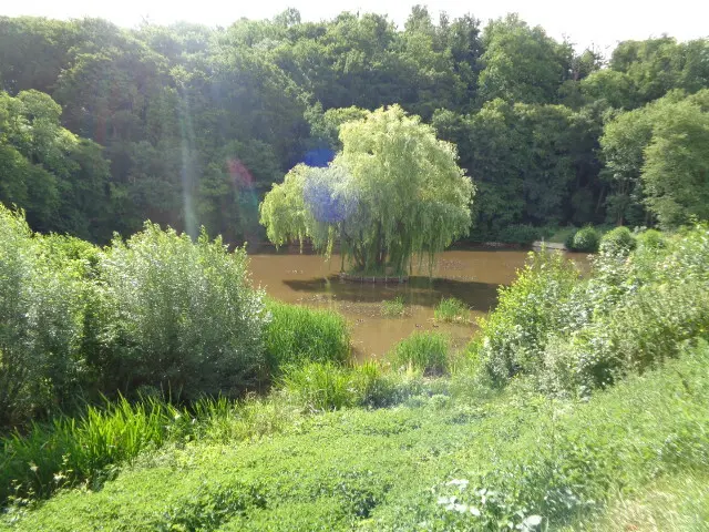 Schloßteich
