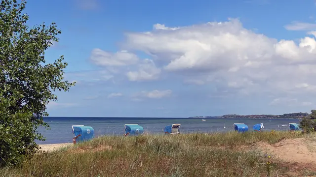Zu den reizvollen Küstenabschnitten in Nordwestmecklenburg gehört im Hochsommer der südwestliche Bereich der Wismarbucht, besonders die Wohlenberger Wiek. Foto: Helmut Kuzina