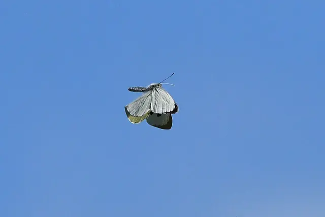 Foto: Copyright Andreas Schäfer