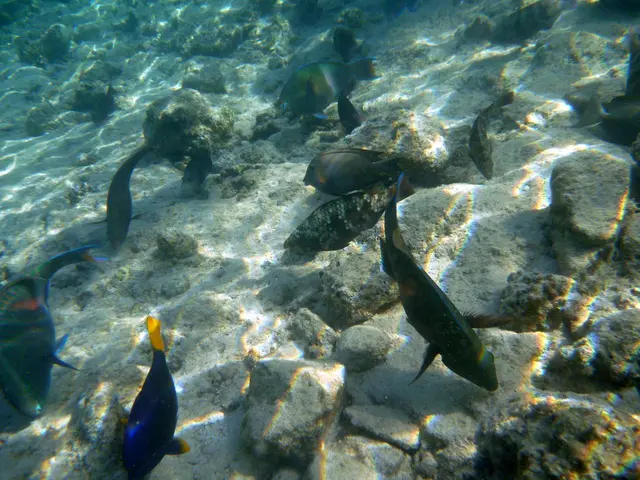 Eine bunt gemischte Gruppe auf Nahrungssuche.
