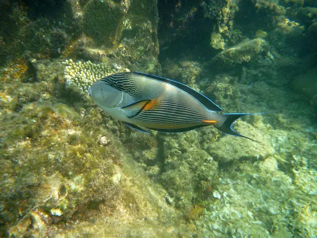 Um solche Aufnahmen zu machen, muss man sich langsam rantasten...
