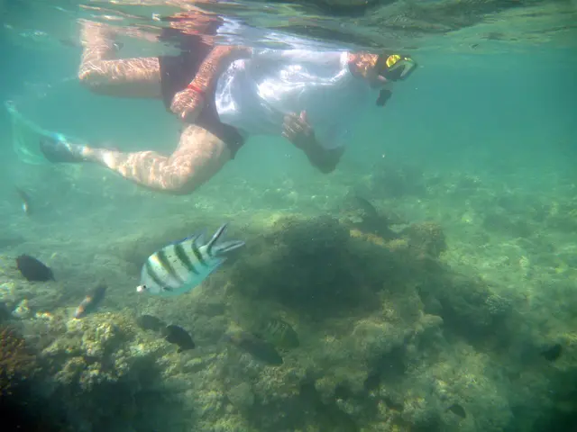  Aufmacherfoto: Der Hänigser #Spargelsprinter hat die Laufschuhe gegen die Flossen getauscht. Das Tauchrevier: Ägypten, Rotes Meer, Hurghada, Hausriff vom Hotel Arabia Azur.