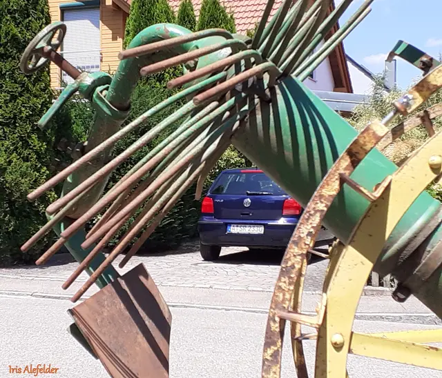 Foto: Iris Alefelder