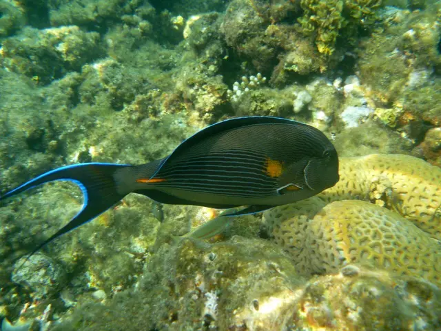  … die Fluchtdistanz ist erreicht.
