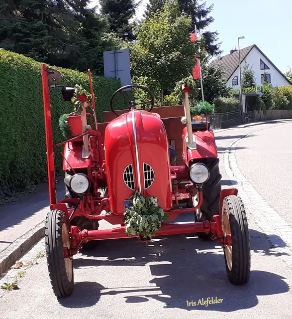 Foto: Iris Alefelder