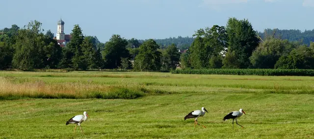 Von Diedorf hinaus in die große weite Welt