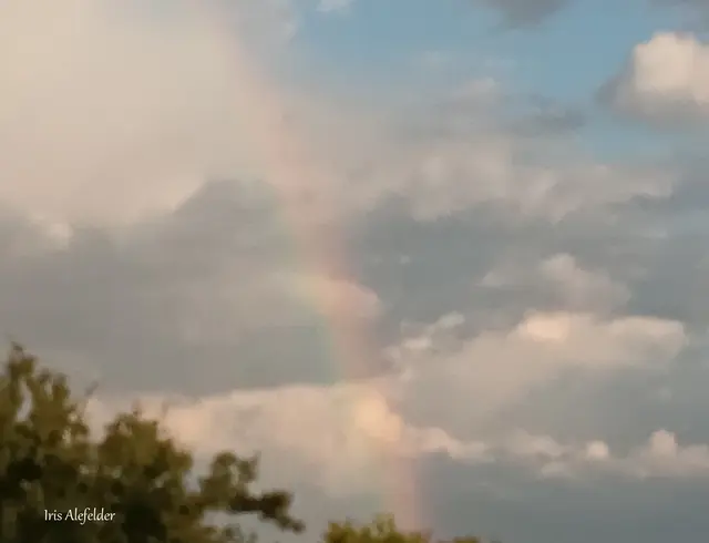 Foto: Iris Alefelder