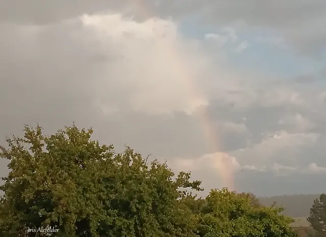 Foto: Iris Alefelder