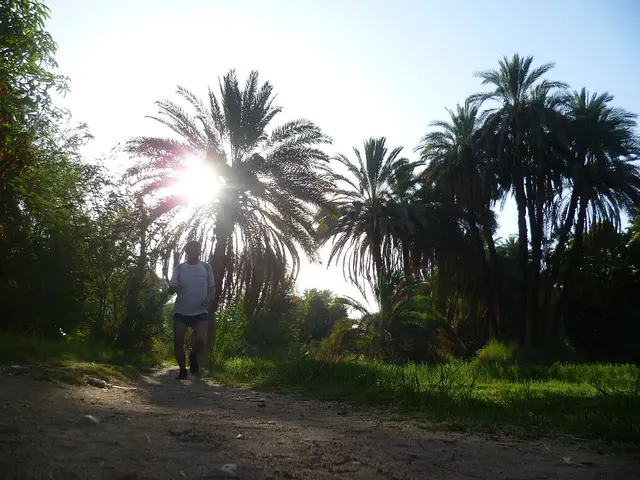 Aufmacherfoto: Auf Schleichwegen von Assuan nach Nagaa Ash Shalabab und zurück zum Schiff.
