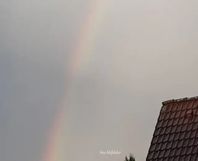 Foto: Iris Alefelder