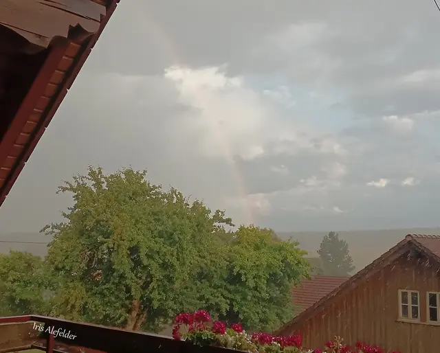 Foto: Iris Alefelder