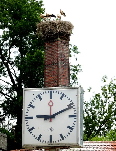 Um kurz nach neun Uhr stehen alle wieder gemeinsam oben, aber dort werden wir sie nicht mehr lange sehen!