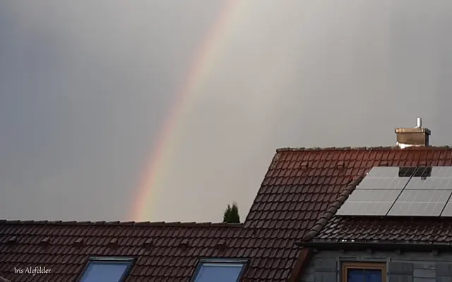 Foto: Iris Alefelder