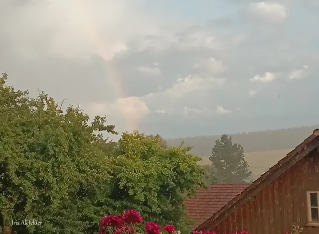 Foto: Iris Alefelder