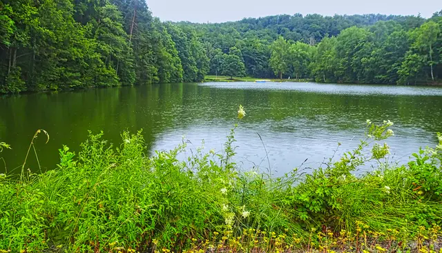 Osterteich vom Damm aufgenommen