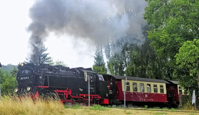 Selketal - Schmalspurbahn am Parkplatz Osterteich