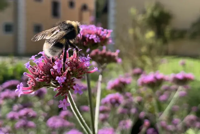 Foto: Christine Hofmann-Brand