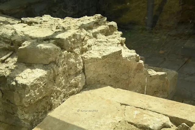 Schlösser in Niedersachsen (Foto: Katja Woidtke)

Schloss Fallersleben in Wolfsburg | Foto: Katja Woidtke