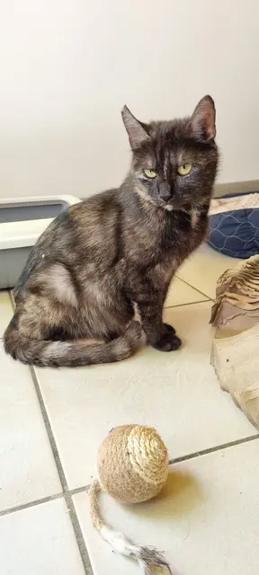 Aurora | Foto: Sabine Pollok