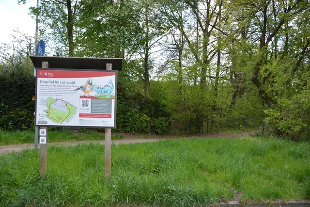 Der Hörpfad im Lohwald | Foto: Stadt Neusäß