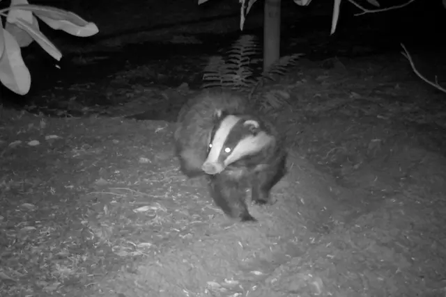 Foto: Copyright Andreas Schäfer