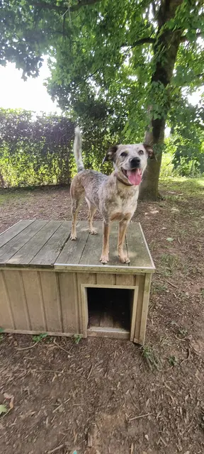 Emma | Foto: Sabine Polllok