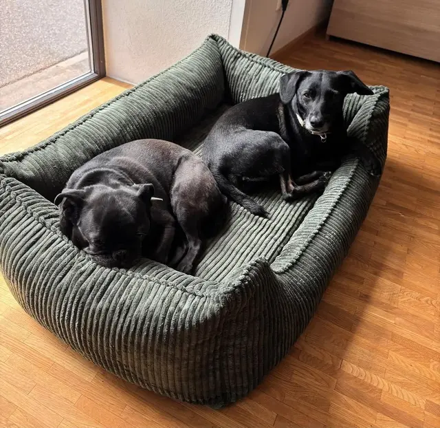 Blacky | Foto: privat