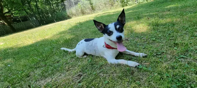 Bonny | Foto: Sabine Pollok