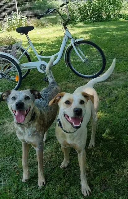 Emma und Emily | Foto: Sabine Pollok