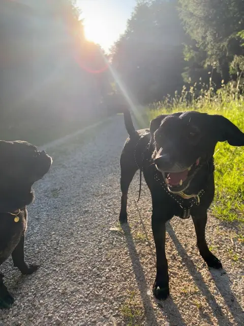 Blacky | Foto: privat