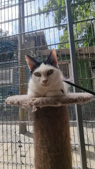 Sissi | Foto: Sabine Pollok