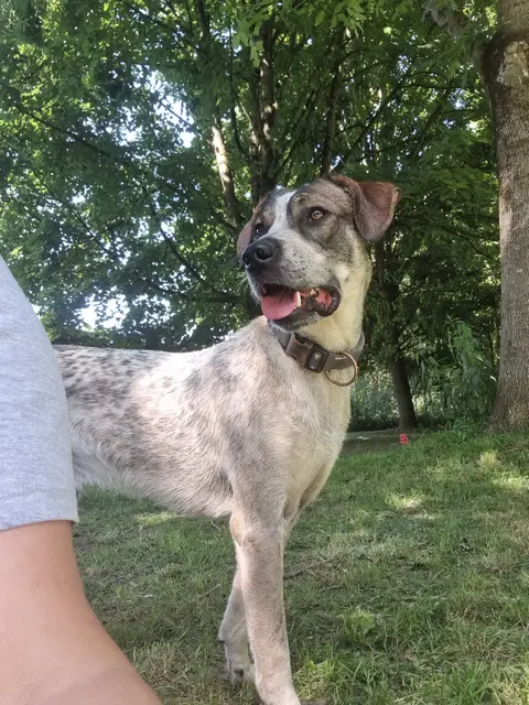 Eddi | Foto: Sabine Pollok