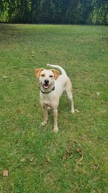 Emily | Foto: Sabine Pollok