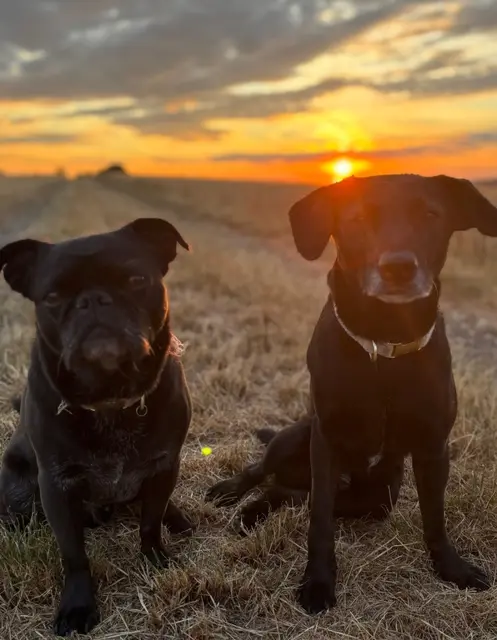 Blacky mit seinem neuen Mitbewohner | Foto: privat