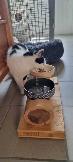 Sissi | Foto: Sabine Pollok