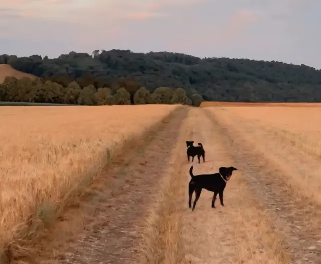 Blacky | Foto: privat