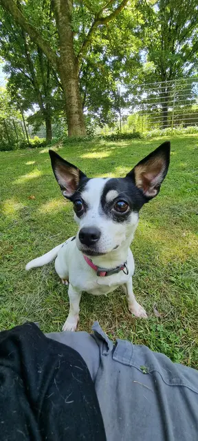 Bonny | Foto: Sabine Pollok