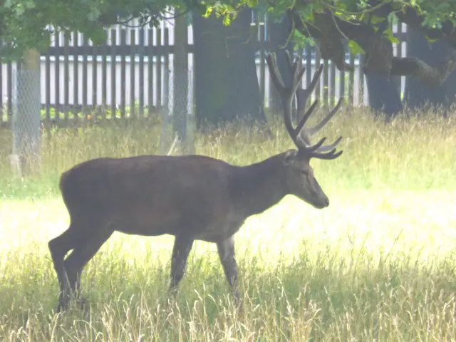 Endlich habe ich ihn erwischt