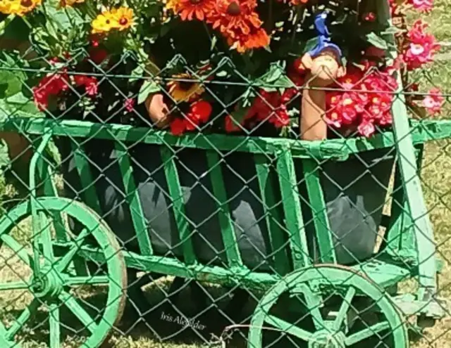 Foto: Iris Alefelder