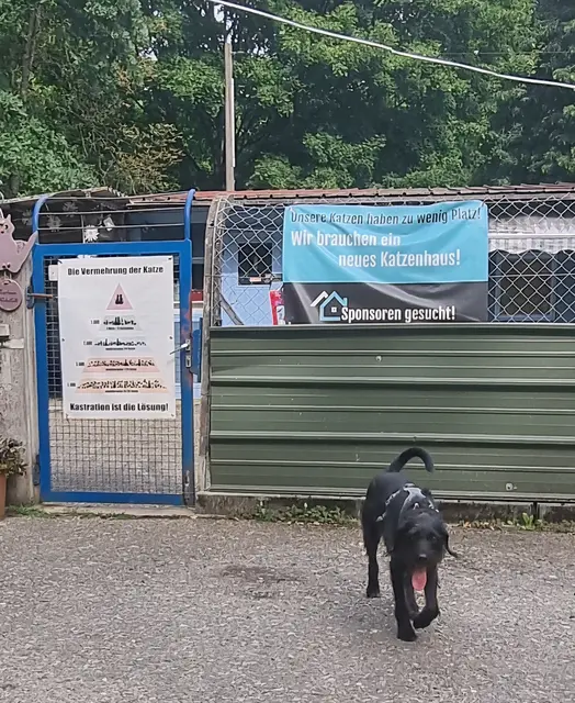 Albert auf Besuch | Foto: Sabine Pollok