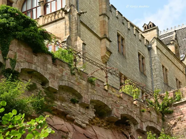 Schlösser in Niedersachsen (Foto: Katja Woidtke)

Rund um das Schloss Marienburg bei Pattensen - unter dem Laubengang bröckelt das Gemäuer | Foto: Katja Woidtke