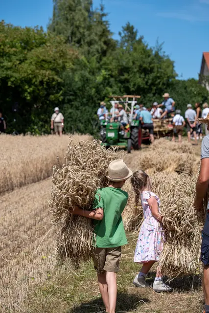 Klein und Groß dürfen beim Schnitterfest mit anpacken | Foto: Matthias Meyer