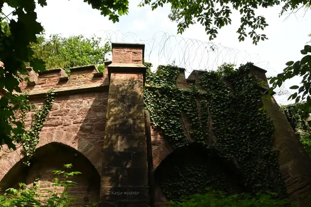 Schlösser in Niedersachsen (Foto: Katja Woidtke)

Rund um das Schloss Marienburg bei Pattensen | Foto: Katja Woidtke