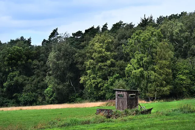 Die Ausläufer des Altwarmbüchener Moores