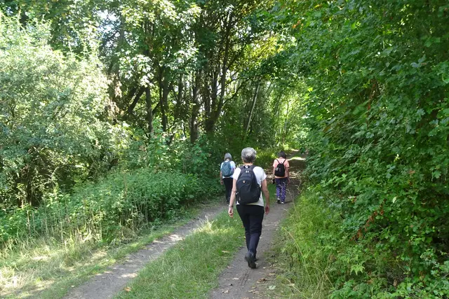 Feldweg durch die Obstbaumallee
